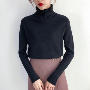 Fun Tortoise - Inspire Professional Clothing